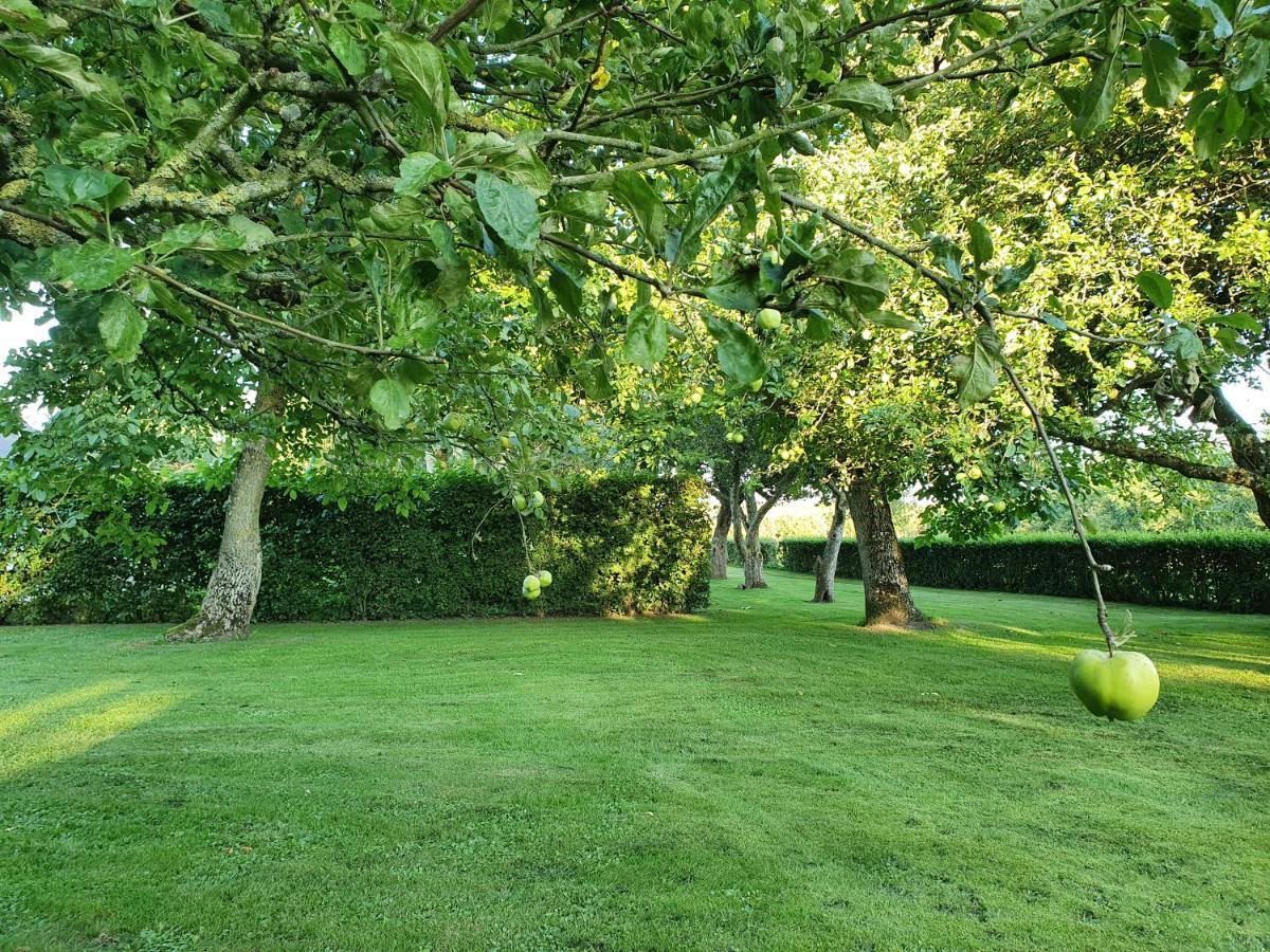 Solbjerg Skov B&B Exteriér fotografie